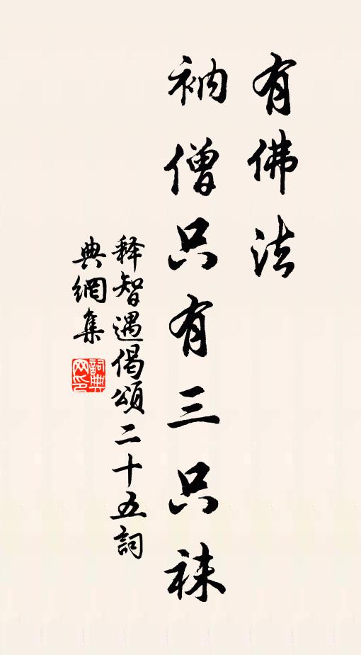 释智遇有佛法，衲僧只有三只袜书法作品欣赏