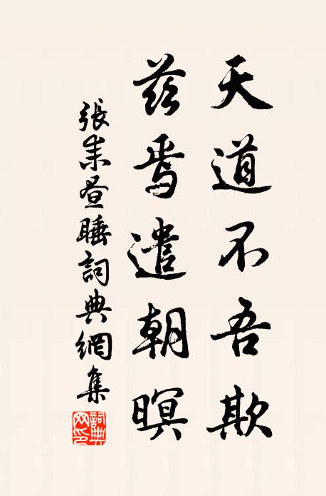 张耒天道不吾欺，兹焉遣朝暝书法作品欣赏