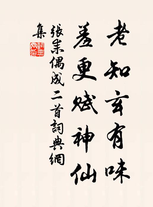 张耒老知玄有味，羞更赋神仙书法作品欣赏
