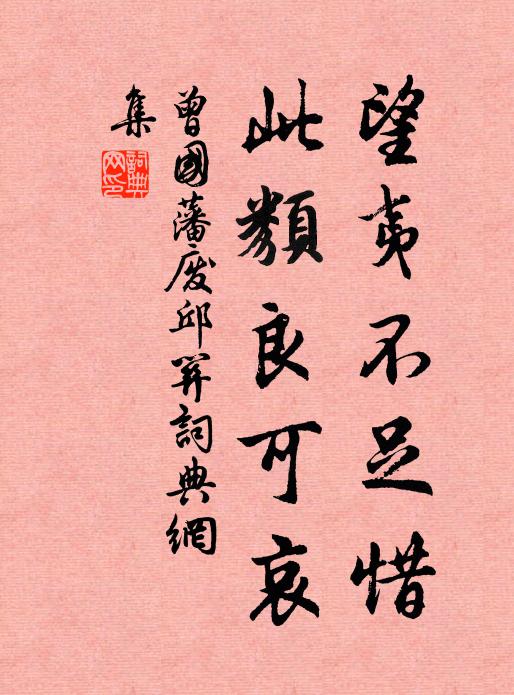 曾国藩望夷不足惜，此类良可哀书法作品欣赏