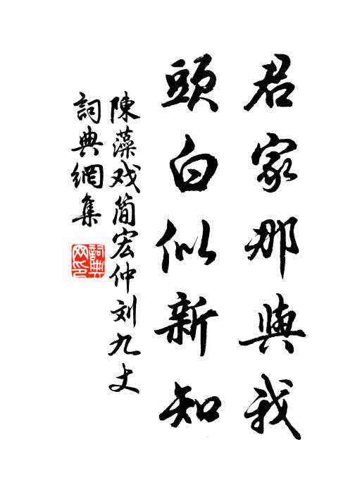 陈藻君家那与我，头白似新知书法作品欣赏