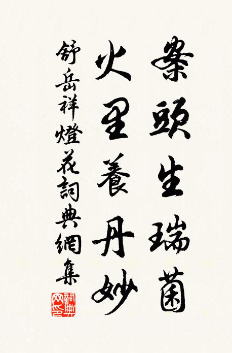 舒岳祥案头生瑞菌，火里养丹妙书法作品欣赏