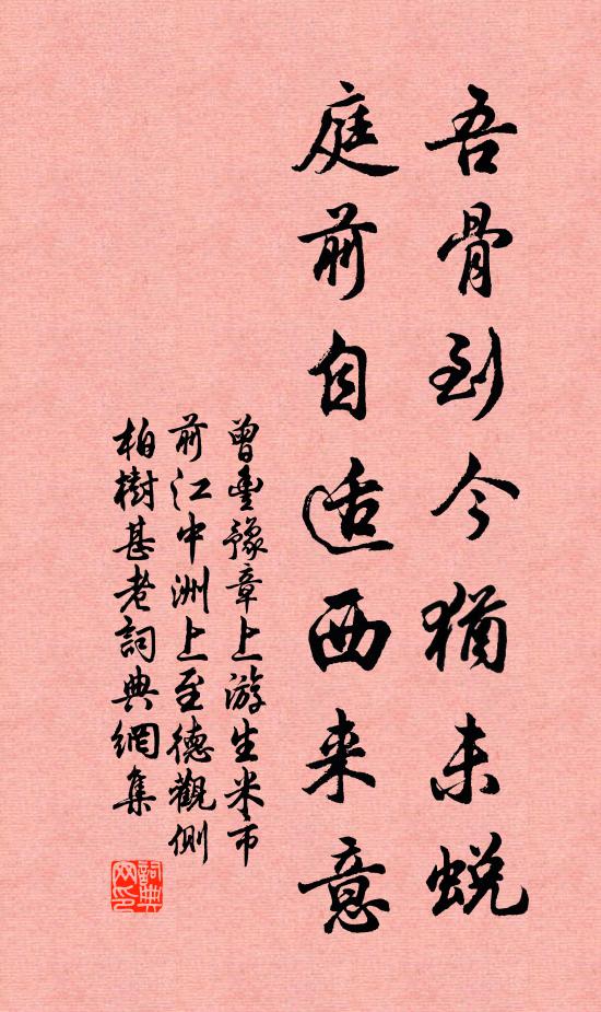 曾丰吾骨到今犹未蜕，庭前自适西来意书法作品欣赏