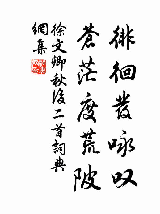 徐文卿徘徊发咏叹，苍茫度荒陂书法作品欣赏