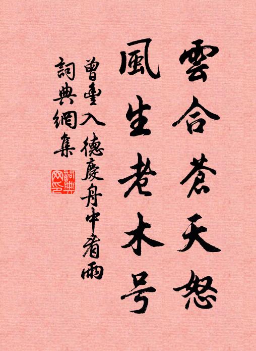 曾丰云合苍天怒，风生老木号书法作品欣赏