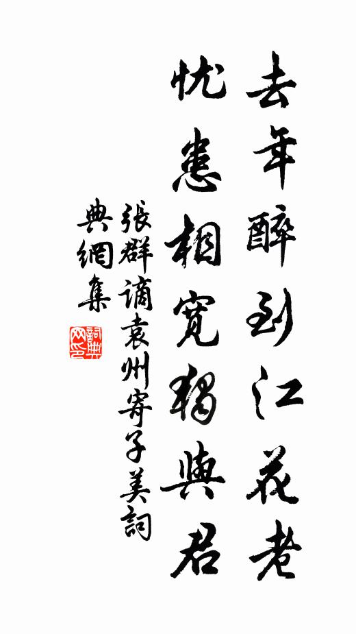 张群去年醉到江花老，忧患相宽独与君书法作品欣赏