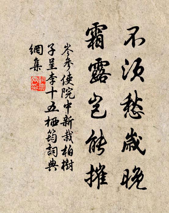 岑参不须愁岁晚，霜露岂能摧书法作品欣赏