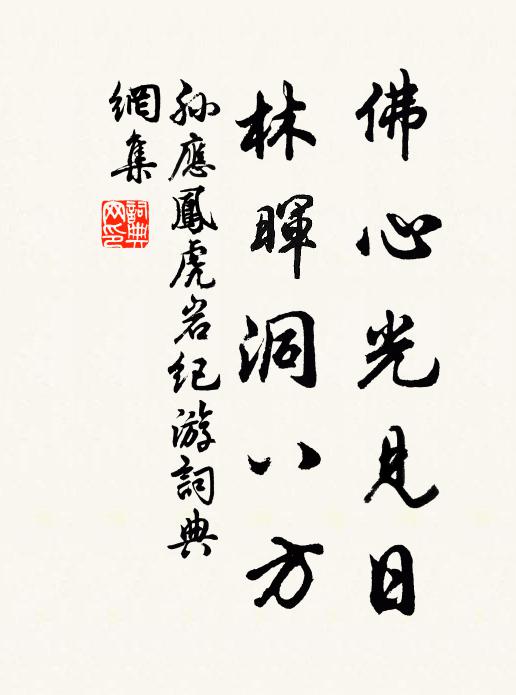 孙应凤佛心光见日，林晖洞八方书法作品欣赏