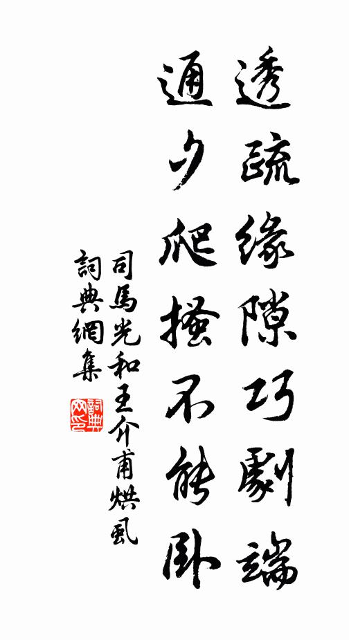 司马光透疏缘隙巧剧端，通夕爬搔不能卧书法作品欣赏
