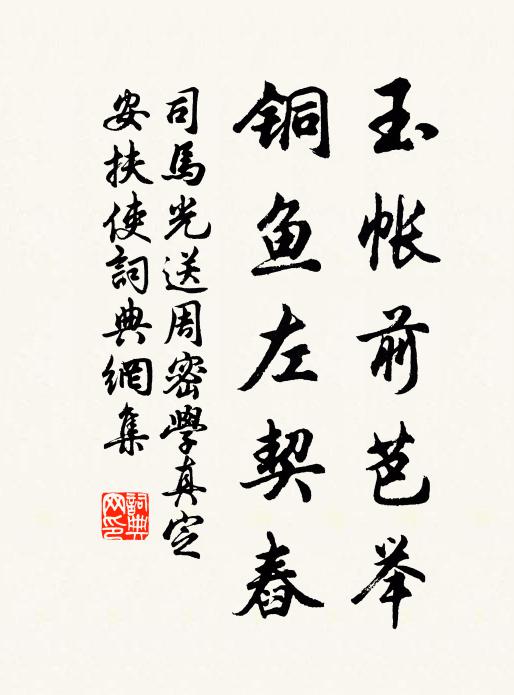 司马光玉帐前芭举，铜鱼左契舂书法作品欣赏