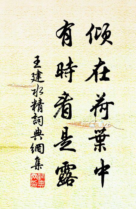王建倾在荷叶中，有时看是露书法作品欣赏