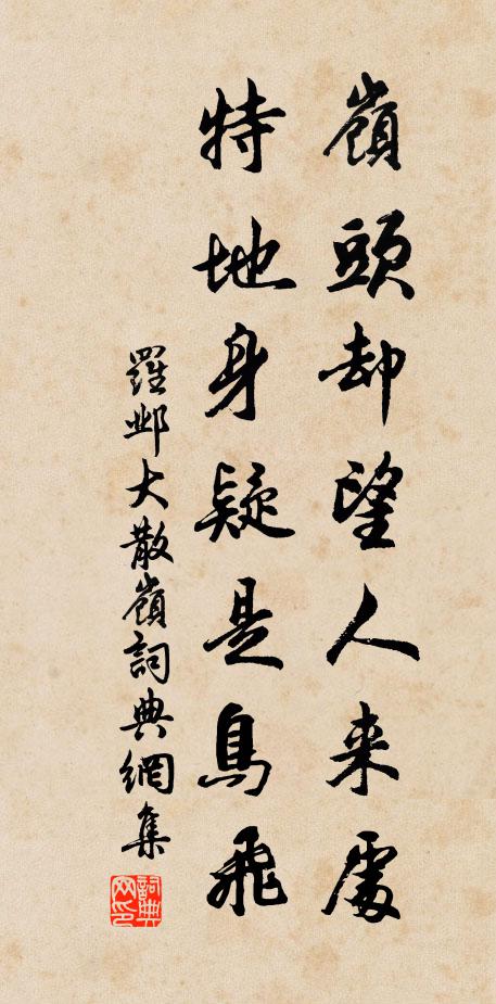 罗邺岭头却望人来处，特地身疑是鸟飞书法作品欣赏