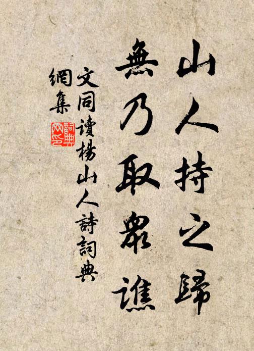 文同山人持之归，无乃取众谯书法作品欣赏