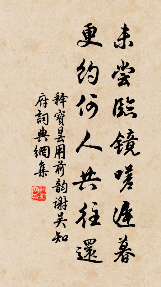释宝昙未尝临镜嗟迟暮，更约何人共往还书法作品欣赏