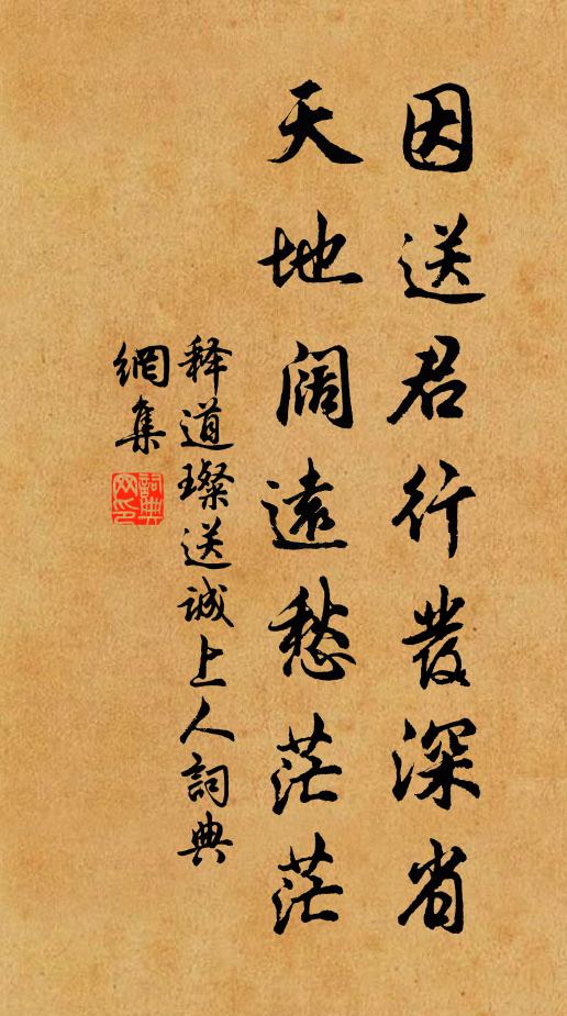 释道璨因送君行发深省，天地阔远愁茫茫书法作品欣赏