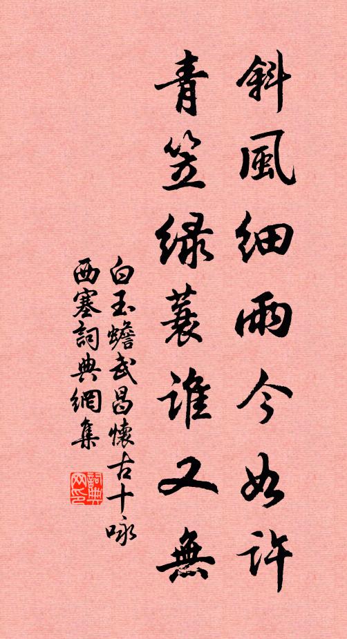 白玉蟾斜风细雨今如许，青笠绿蓑谁又无书法作品欣赏