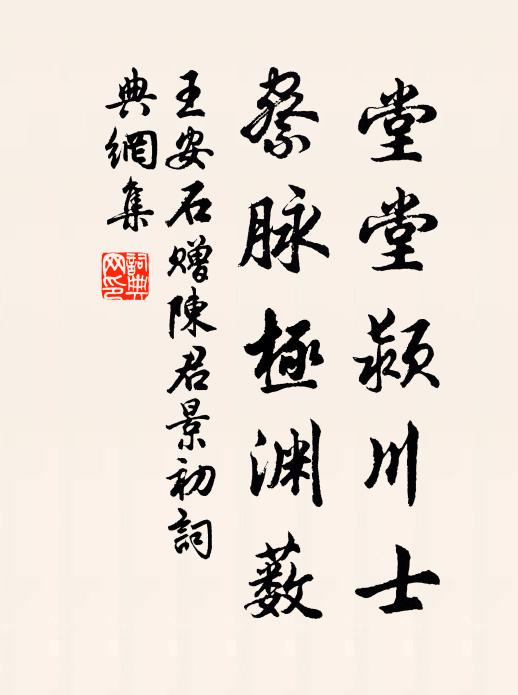 王安石堂堂颍川士，察脉极渊薮书法作品欣赏