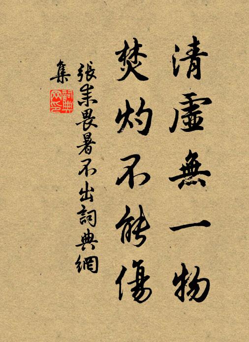 张耒清虚无一物，焚灼不能伤书法作品欣赏