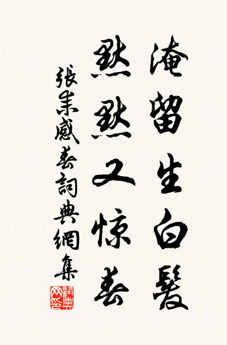 张耒淹留生白发,默默又惊春书法作品欣赏