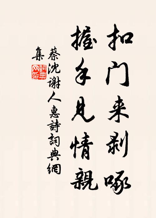 蔡沈扣门来剥啄，握手见情亲书法作品欣赏