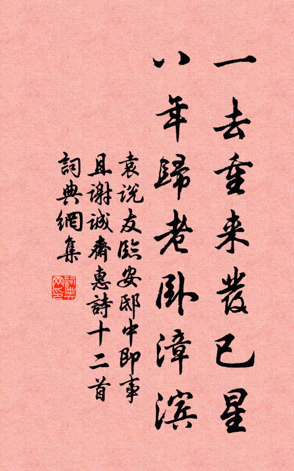 袁说友一去重来发已星，八年归老卧漳滨书法作品欣赏