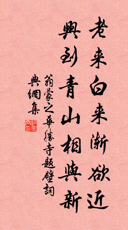 翁蒙之老来白来渐欲近，兴到青山相与新书法作品欣赏