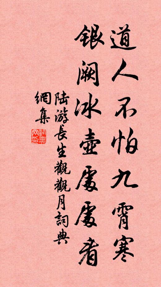 陆游道人不怕九霄寒，银阙冰壶处处看书法作品欣赏