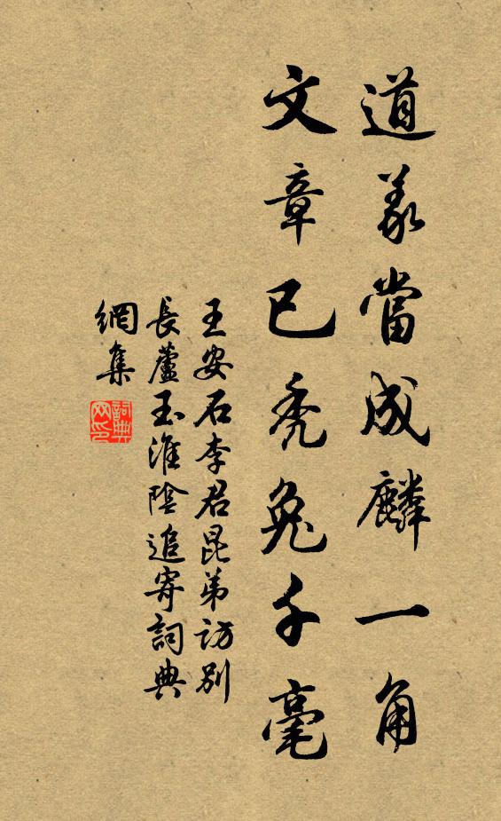 王安石道义当成麟一角，文章已秃兔千毫书法作品欣赏