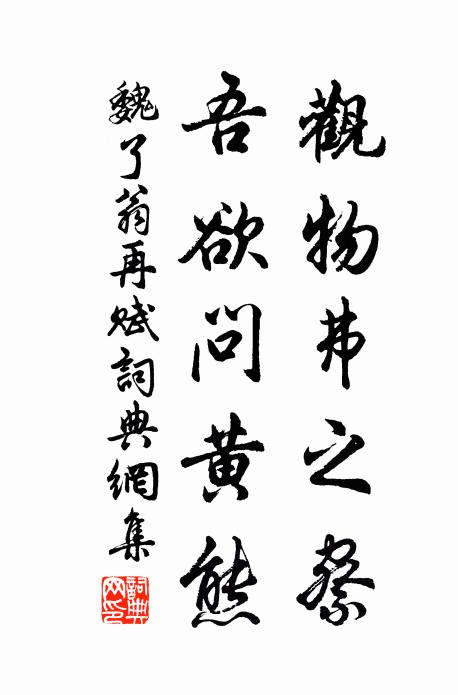 魏了翁观物弗之察，吾欲问黄熊书法作品欣赏