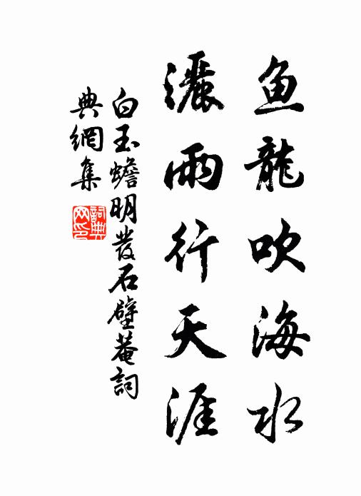 白玉蟾鱼龙吹海水，洒雨行天涯书法作品欣赏