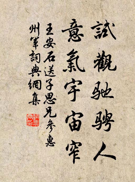 王安石试观驰骋人，意气宇宙窄书法作品欣赏