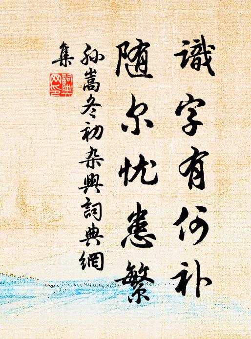 孙嵩识字有何补，随尔忧患繁书法作品欣赏