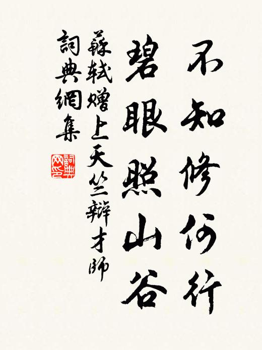苏轼不知修何行，碧眼照山谷书法作品欣赏