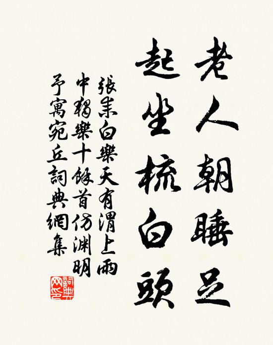 张耒老人朝睡足，起坐梳白头书法作品欣赏