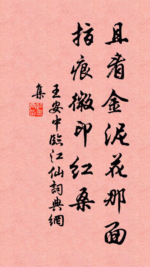 王安中且看金泥花那面，指痕微印红桑书法作品欣赏