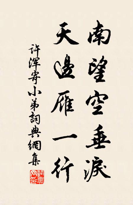 许浑南望空垂泪，天边雁一行书法作品欣赏