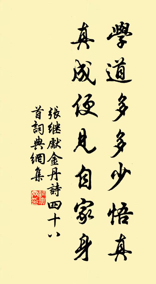 张继先学道多多少悟真，真成便见自家身书法作品欣赏