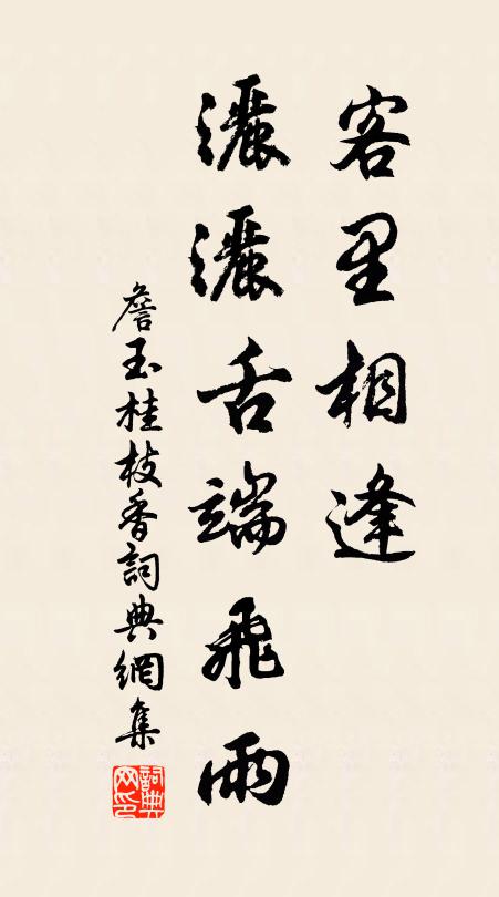 詹玉客里相逢，洒洒舌端飞雨书法作品欣赏