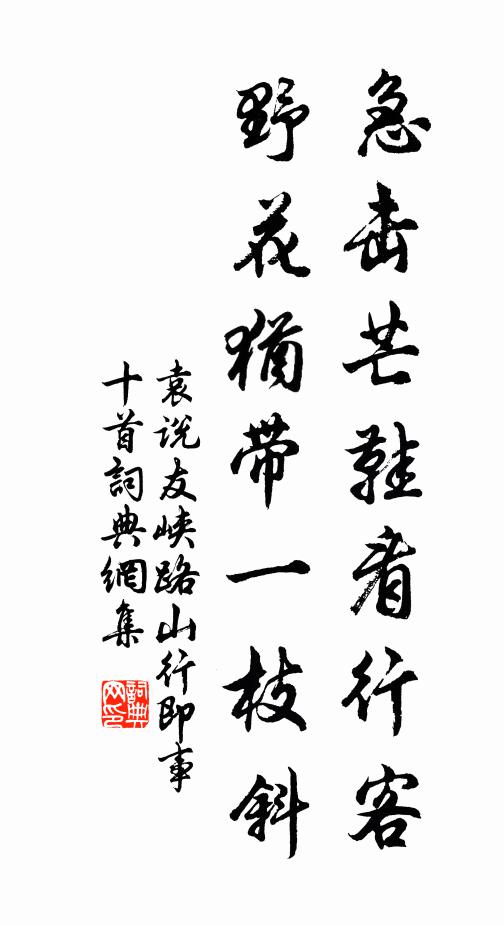 袁说友急击芒鞋看行客，野花犹带一枝斜书法作品欣赏