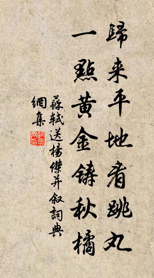 苏轼归来平地看跳丸，一点黄金铸秋橘书法作品欣赏