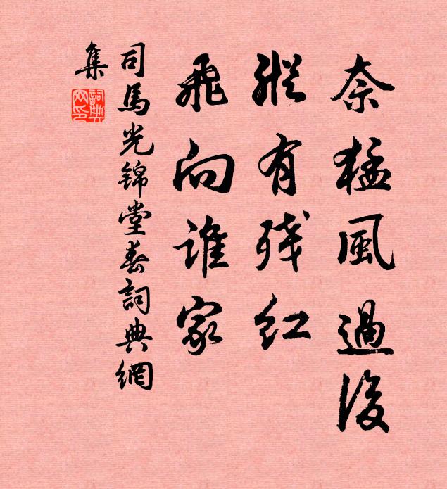 司马光奈猛风过后，纵有残红，飞向谁家书法作品欣赏