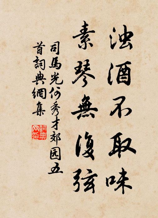 司马光浊酒不取味，素琴无复弦书法作品欣赏