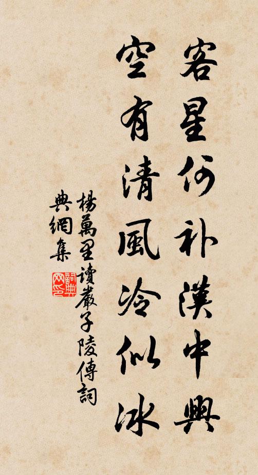 杨万里客星何补汉中兴，空有清风冷似冰书法作品欣赏