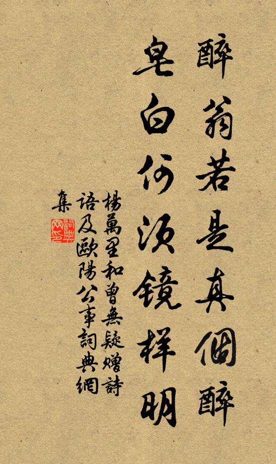 杨万里醉翁若是真个醉，皂白何须镜样明书法作品欣赏