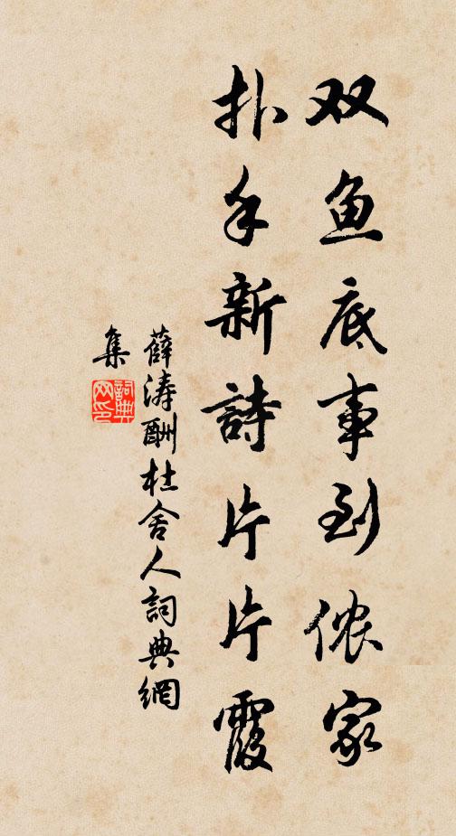 薛涛双鱼底事到侬家，扑手新诗片片霞书法作品欣赏