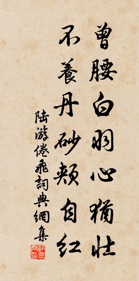陆游曾腰白羽心犹壮，不养丹砂颊自红书法作品欣赏