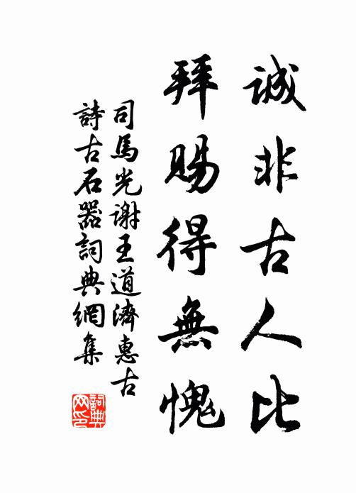 司马光诚非古人比，拜赐得无愧书法作品欣赏