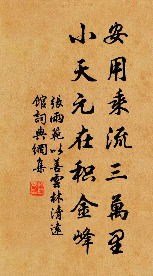 张雨安用乘流三万里，小天元在积金峰书法作品欣赏