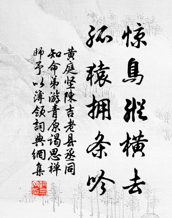 黄庭坚惊鸟纵横去，孤猿拥条吟书法作品欣赏