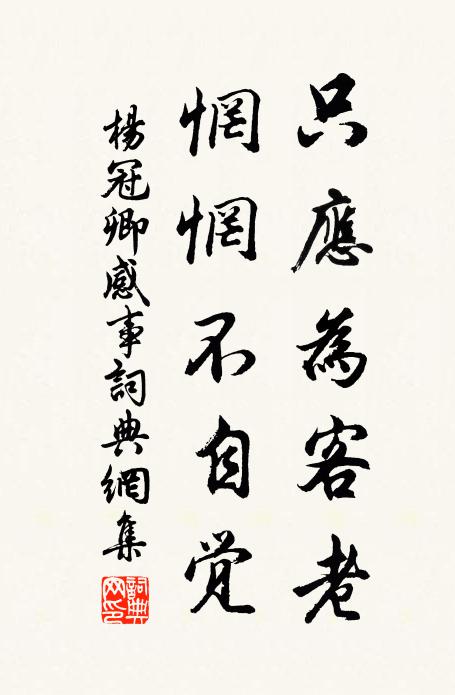 杨冠卿只应为客老，惘惘不自觉书法作品欣赏